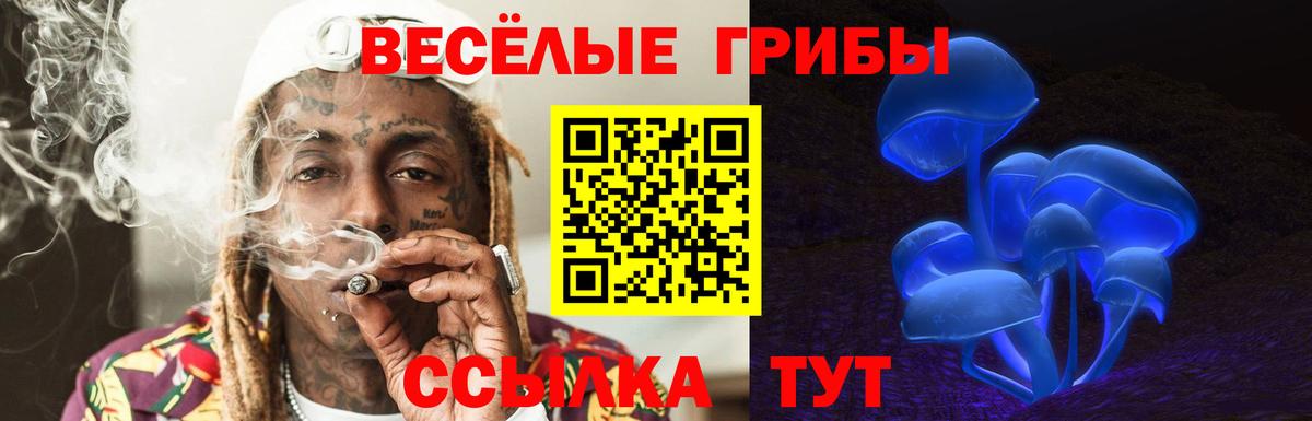 Псилоцибиновые грибы GOLDEN TEACHER  Вход с VPN  Лабинск  Галлюциногенные грибы Psilocybe 