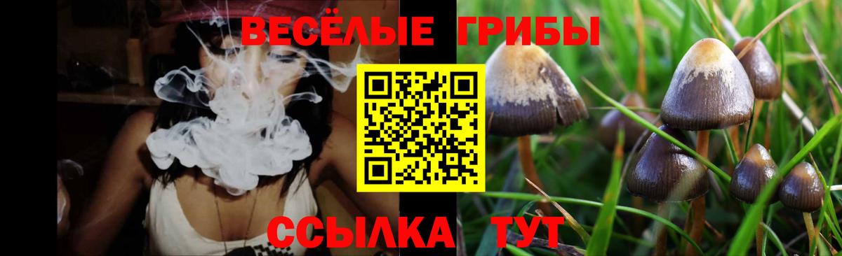 Галлюциногенные грибы мицелий Лабинск